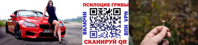 Галлюциногенные грибы Magic Shrooms как найти закладки гидра ссылка Лахденпохья